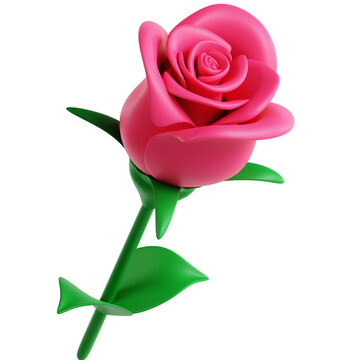 Single Rose