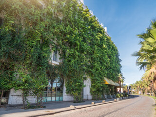 Fototapete bei efototapeten.de bestellen   