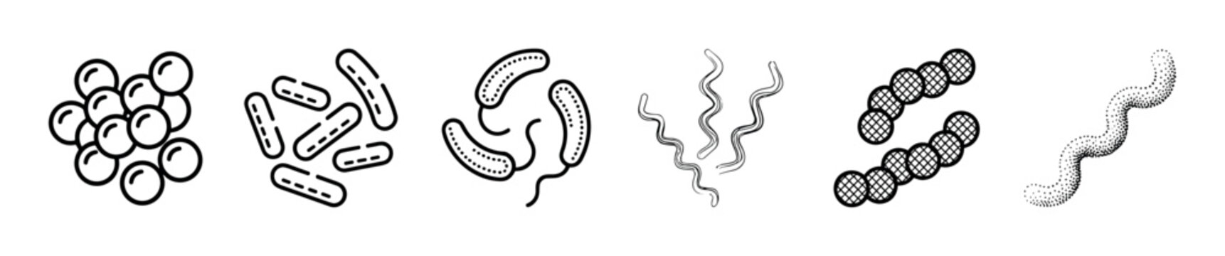 Set of various bacteria icons showing different shapes of microorganisms like cocci, bacilli, and spirillum in a minimalist black and white line art vector style collection