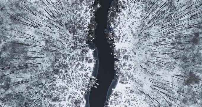 Flying above cold river and white forest in winter.