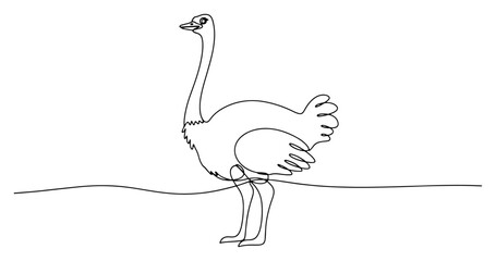 Ostrich bird one line drawing, continuous line art of flightless African bird for nature and safari concept © ----WWWLINE----