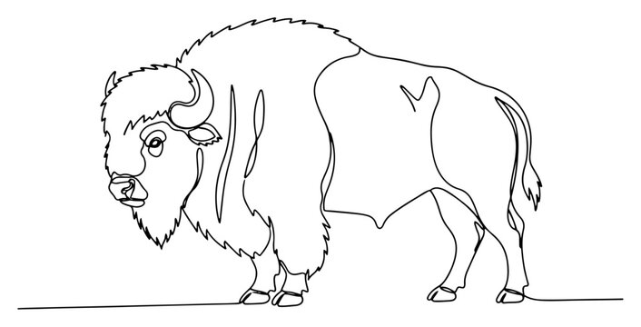Bison or American buffalo one line drawing, continuous line art of powerful mammal for wilderness and nature conservation