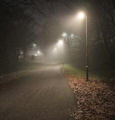 Naklejka premium Misty park pathway lit by warm glowing streetlights.