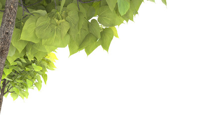 Various types of tree branch plants bushes shrub and and small plants	
