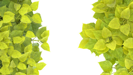 Various types of tree branch plants bushes shrub and and small plants