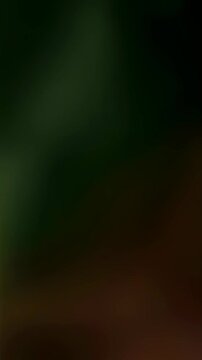 Dark gradient abstract background with subtle green, brown, and golden light transitions and blurred motion effect Vertical video