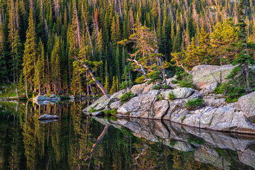 Dream Lake Tranquility