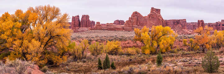 Courthouse Wash Golden Cottonwoods