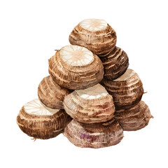 soft watercolor illustration of multiple satoimo taro roots light brown skin with fuzzy hair texture and striped pattern irregular round shapes stacked together simple