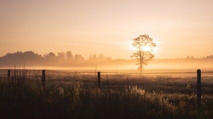 Fototapeta premium Golden sunrise over misty field evokes peaceful rural landscape photography inspiration