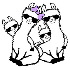 Obraz premium Family Children No Prob Llama Probllama Drama Cool Sunglasses Sitting Relaxed