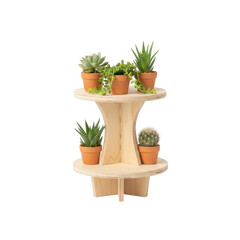 Fototapeta premium Two Tier Plant Stand with Succulents