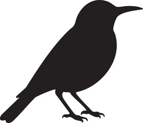 Fototapeta premium Silhouette of a small bird perched against a white background 