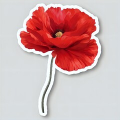 red poppy flower