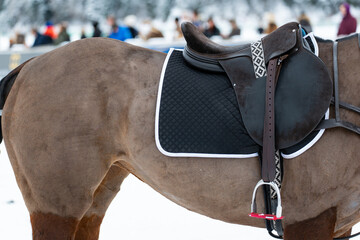 Detail in a snow polo competition