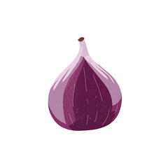 a flat modern and very simple illustration of a fig Purple tones white background