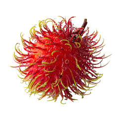 Single rambutan with spiky red skin isolated on white background highly detailed fresh water droplets vivid exotic fruit photography square format for social media.jpe