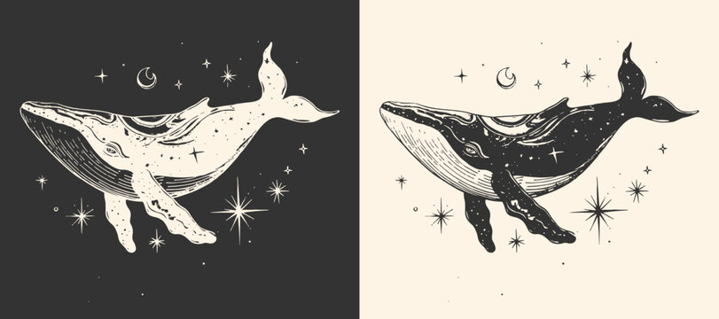 Silhouette of a celestial whale animal. Vector illustration.