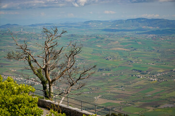 Obraz premium View from a hilltop terrace in Erice, Sicily, looking over vast farmland and distant mountains. A bare tree frames the scene above the valley, with wind turbines on the horizon under soft clouds.