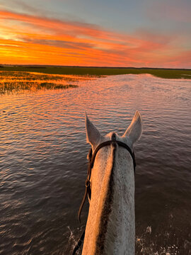Alone on horseback, crossing the waters during a magnificent sunset.