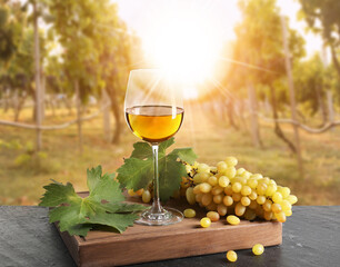 Naklejka premium Wine in glass and fresh grapes on table in sunny vineyard