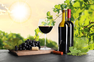 Naklejka premium Wine and fresh grapes on table. Glass and bottles in vineyard