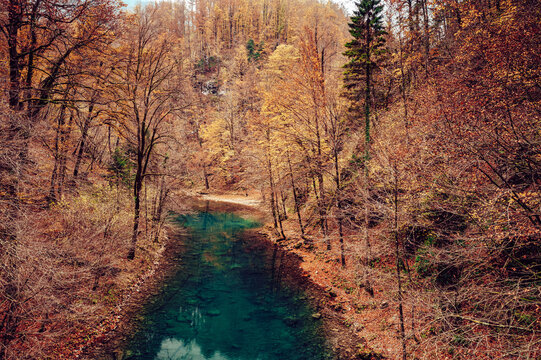 Aerial view of a vibrant blue river snaking through a forest of golden and brown trees, reflecting the autumnal light, Crni Lug, Primorsko-goranska zupanija, Croatia.