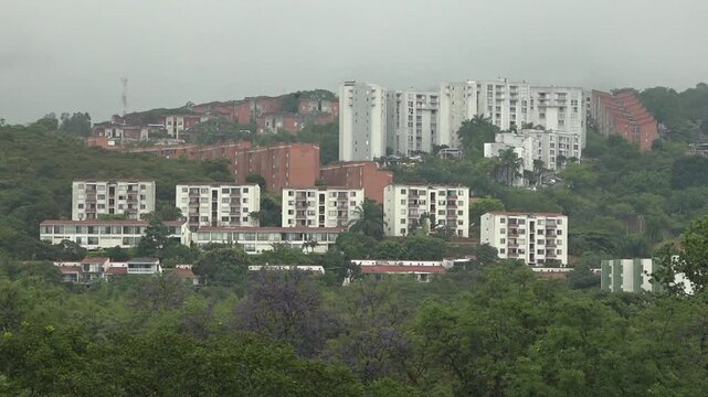 Edificios en medio de Bosque tropical