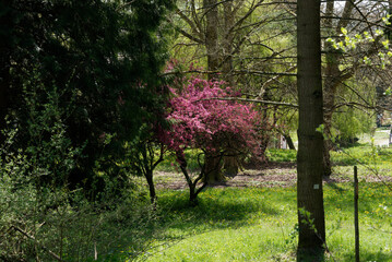 Baden-Württemberg - Kaiserstuhl - Forstliches  Arboretum Liliental © Uwalthie Pic Project