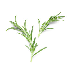 Fototapeta premium Fresh green rosemary isolated on white background, closeup