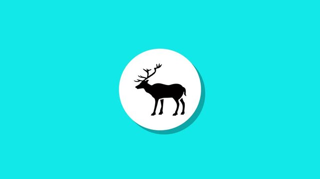 Minimalist animation of elk silhouette appearing on cyan background with shadow effect