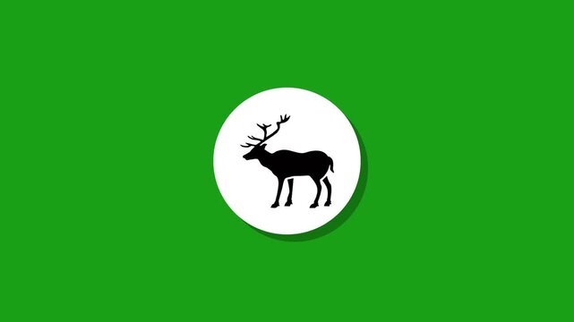 Animated deer silhouette appearing on white circle over green background with long shadow effect