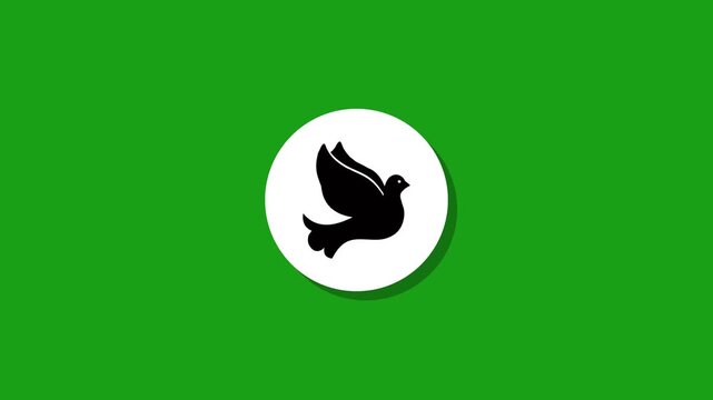 Peaceful dove symbol animating in circle on green background motion graphic