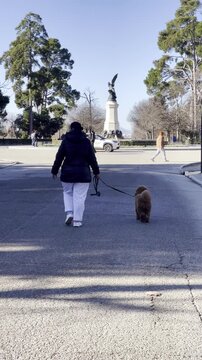 Mujer paseando a su perro con correa hacia plaza con monumento