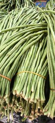 Long beans from the garden for cooking.