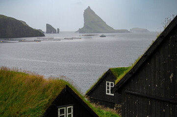 Untamed Faroese Nature