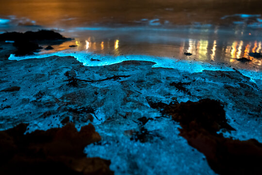 Bioluminescent waves glowing blue around coastal rock platforms at night in Jervis Bay, New South Wales, Australia, with illuminated water and calm ocean conditions.