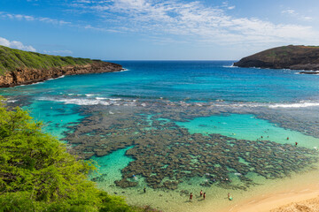 Obraz premium Panoramic View of Coral Reef at Hanauma Bay, Hawaii