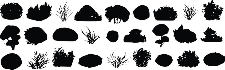 WeBush, shrub, plant, silhouette, foliage, vegetation, greenery, landscape, garden, nature, outdoor,  © MdJahid