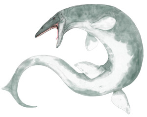 太古の大型海生爬虫類、ティロサウルスのオリジナル復元想像図。上顎先端部に歯がないのが他のモササウルスと異なる。後期白亜紀に生存 © Mineo