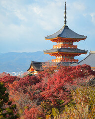 Obraz premium kiyomizu temple