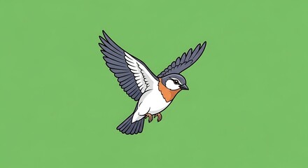 Fototapeta premium A gray white and orange bird flies with outstretched wings against a green background