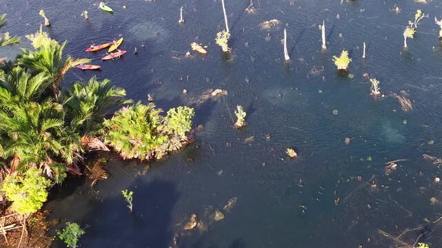 Aerial View of Kayakers Paddling Through Klong Root Mangrove Forest in Krabi