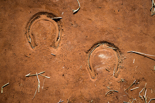 Top view of two horseshoe imprints in red dry soil with straw. This equine tracking, ranch soil health & western trail navigation shot provides authentic texture for agricultural & outdoor themes.