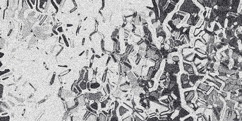Detailed monochrome abstract texture with intricate, interconnected organic shapes and a granular noise overlay, creating a complex, almost cellular or biological pattern in grayscale