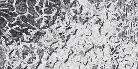 Detailed abstract grayscale texture with a network of irregular interconnected shapes and a granular overlay suitable for backgrounds and artistic visual design applications
