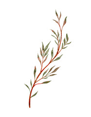 Refined Watercolor Portrayal Of Slender Plant With Abundant Leaves Suitable For Branding Or Stationery
