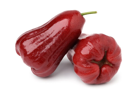 Rose apple or Java apple. isolated on white background.