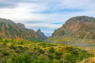Naklejka premium A rugged mountain canyon framed by steep rock walls and desert vegetation in Big Bend National Park, Texas, showcasing the park’s dramatic terrain.