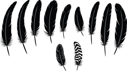 Set of bird feather silhouettes collection decorative natural plumage elements isolated on white background vector illustration © Heyyy